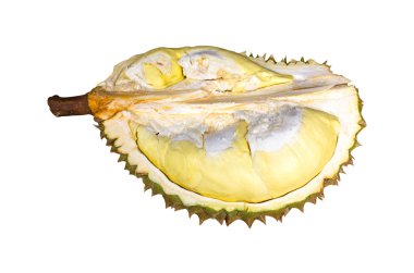 Durian türler Monthong Tayland beyaz arka plan üzerinde izole..
