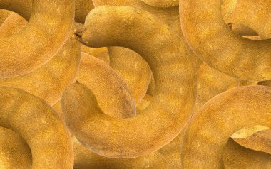 Altın demirhindi tohum tasarım ve arka plan uygulamak.