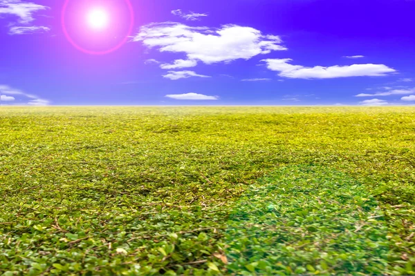 Paisagem de verão com grama verde a inclinação da colina e nuvens no céu azul brilhante . — Fotografia de Stock