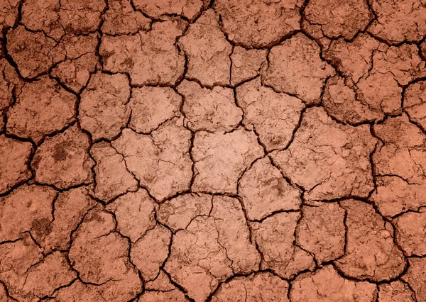 Soil Cracked arid pattern for background. — Stock Photo, Image