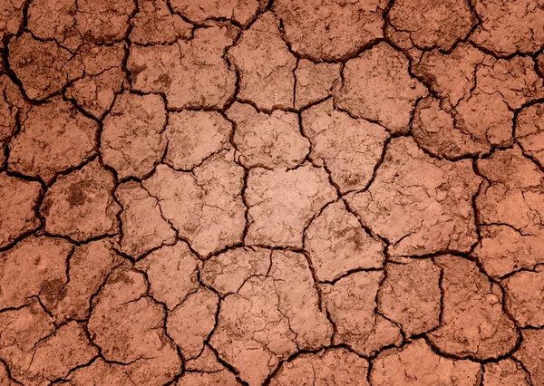 Terreno incrinato modello arido per lo sfondo . — Foto Stock