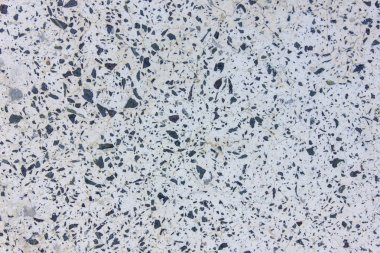 Lotus izole el beyaz arka planda.