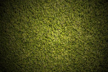 golf sahası arka plan doku çim çimen.