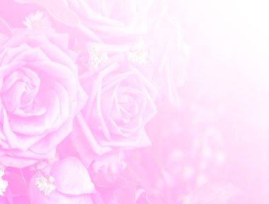 Tasarım ve arka plan gül çiçek vintage ışık filtresi ve renk filtresi Uygula.