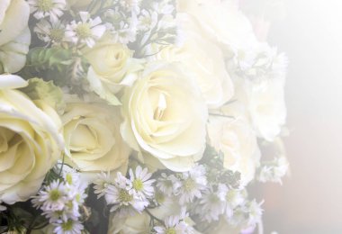 Tasarım ve arka plan gül çiçek vintage ışık filtresi ve renk filtresi Uygula.