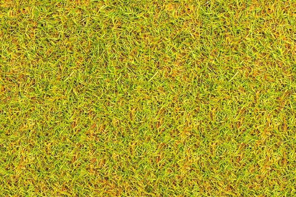 Erba sfondo texture prato del campo da golf . — Foto Stock