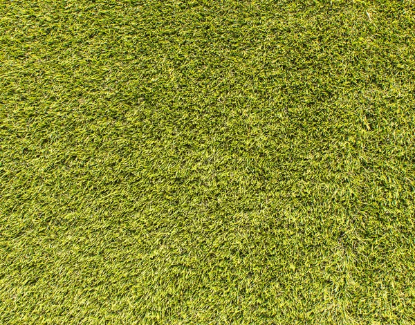 Erba sfondo texture prato del campo da golf . — Foto Stock