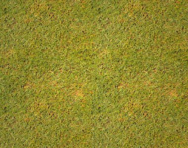 Çim doku golf sahası arka plan