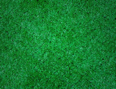 yeşil çim dokusu