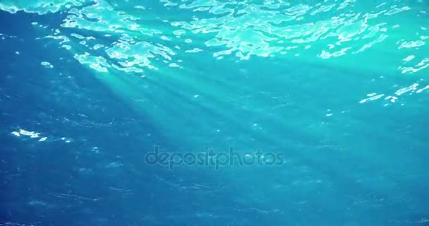 Animation de haute qualité des vagues océaniques sous-marines avec du plancton flottant. Des rayons lumineux brillent. Grand fond marin populaire HD, haute définition 4k . — Video