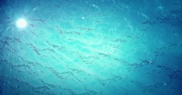 High quality animation of ocean waves from underwater with floating plankton. Light rays shining through. Great popular marine background HD, high definition 4k. — Stock Video