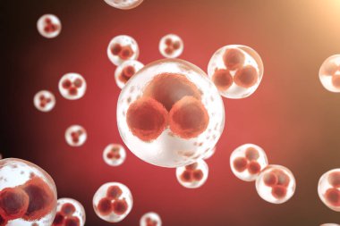 Kırmızı hücre arka planı. Hayat ve Biyoloji, tıp bilimsel, moleküler araştırma dna. 3D render