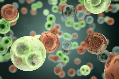 Renkli arka plan üzerinde insan ya da hayvan hücreleri. Tıp bilimsel kavram. 3D render