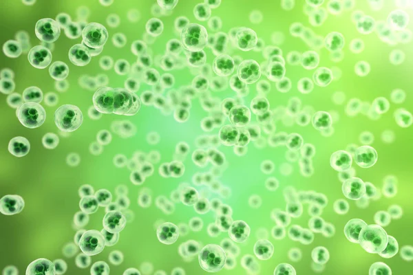Cellule umane o animali su sfondo verde. Vita e biologia, medicina concetto scientifico con effetto focus. rendering 3d — Foto Stock