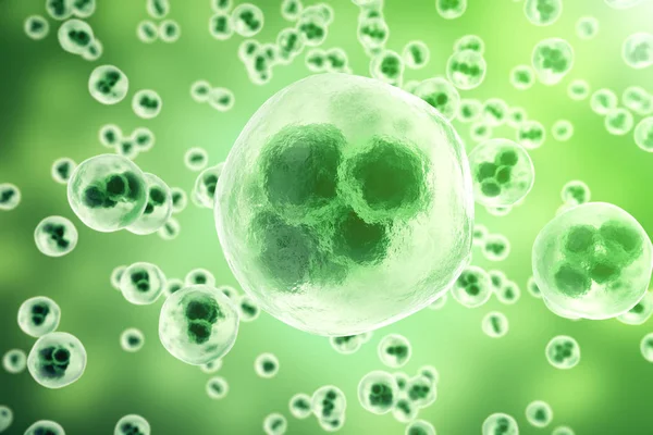 Κύτταρα ανθρώπινης προέλευσης ή των ζώων σε πράσινο φόντο. Η ζωή και η βιολογία, ιατρική επιστημονική αντίληψη με αποτέλεσμα εστίασης. 3D rendering — Φωτογραφία Αρχείου