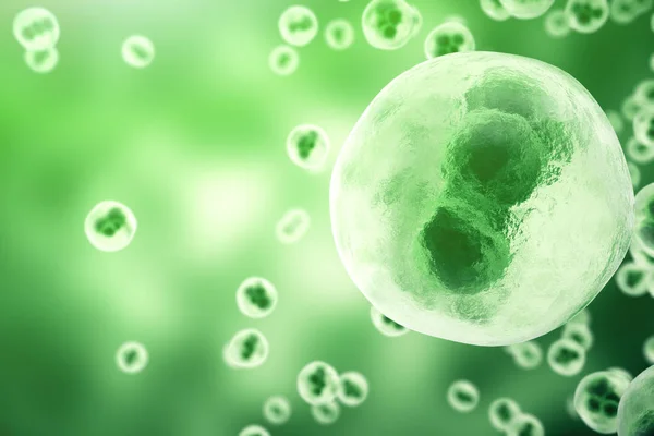 Cellules humaines ou animales sur fond vert. Vie et biologie, médecine concept scientifique avec effet focus. Rendu 3d — Photo