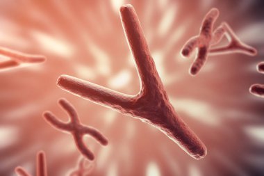 İnsan biyolojisi sağlık sembol gen terapisi veya Mikrobiyoloji genetik araştırma için bir kavram olarak XY kromozomu. 3D render