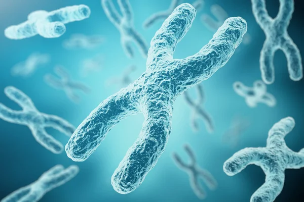 XY-kromosomer som begrepp för mänskliga biologin medicinsk symbol gen terapi eller mikrobiologi genetik forskning. 3D-rendering — Stockfoto