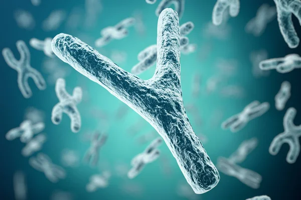 XY-cromosomas en el fondo, terapia génica símbolo médico o investigación genética microbiología con efecto de enfoque. renderizado 3d — Foto de Stock