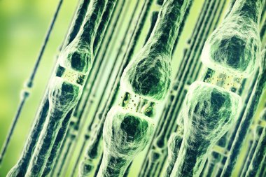 Beyaz arka plan üzerinde izole etkin bir reseptör Illustration. 3D render