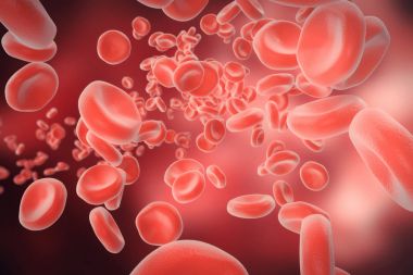 Kırmızı kan hücreleri: yönetmelik ph kan, bir gıda ve kafesleri bir organizmanın korunması, oksijen sorumlu. 3D render