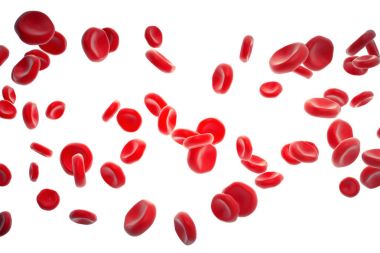 Kırmızı kan hücreleri arter, akış vücudun kavramı tıbbi insan sağlık bakım, beyaz arka plan üzerinde izole 3d render içinde