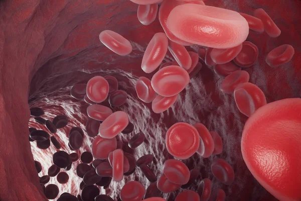 Glóbulos rojos en la arteria, flujo dentro del cuerpo, concepto de atención médica de la salud humana, 3d prestación — Foto de Stock