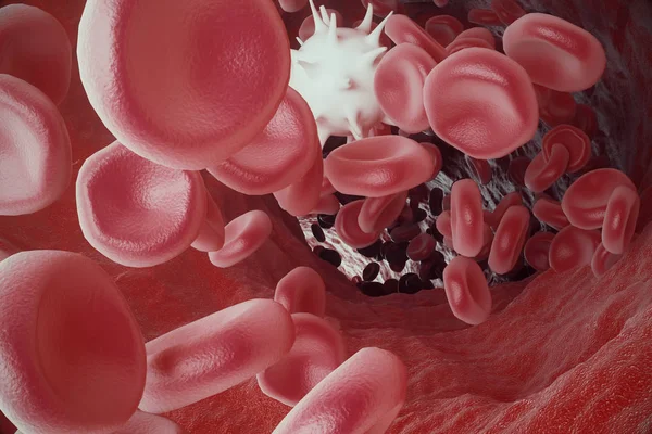 Λευκών αιμοσφαιρίων μεταξύ των ερυθρών αιμοσφαιρίων, ροή insice αρτηρία ή φλέβα, 3d rendering — Φωτογραφία Αρχείου