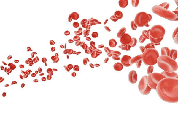 Globuli rossi: responsabile di riporto di ossigeno, regolazione pH il sangue, un cibo e protezione di gabbie di un organismo. rendering 3d isolato su backgorund bianco — Foto Stock