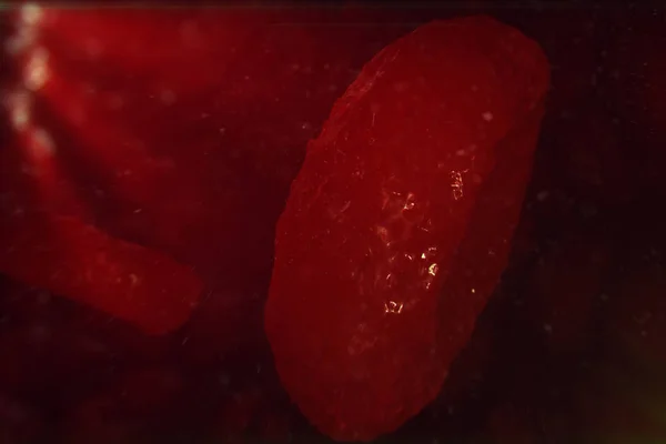 Ilustración 3D glóbulos rojos en la vena. Los glóbulos rojos fluyen en el vaso. concepto médico de salud humana . — Foto de Stock