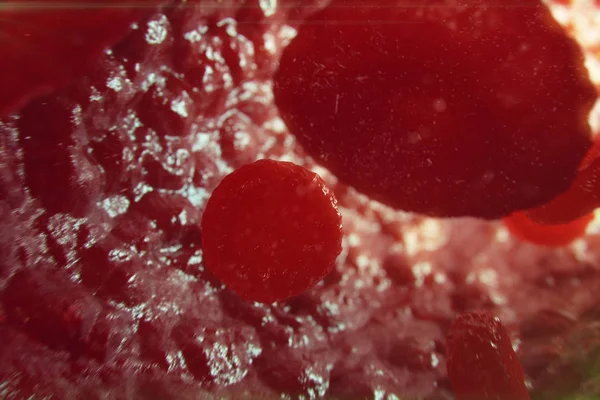 3D illustratie rode bloedcellen in de ader. Rode bloedcellen stromen in vat. begrip van de menselijke gezondheid-gezondheidszorg. — Stockfoto