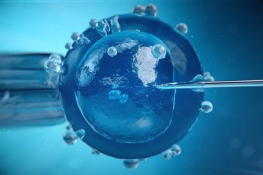 3D çizim suni tohumlama, Döllenme, Injecting sperm yumurta hücresine. Yardımlı üreme tedavi.