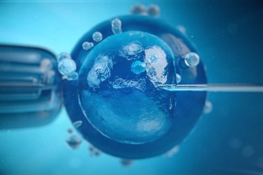 3D çizim suni tohumlama, Döllenme, Injecting sperm yumurta hücresine. Yardımlı üreme tedavi.