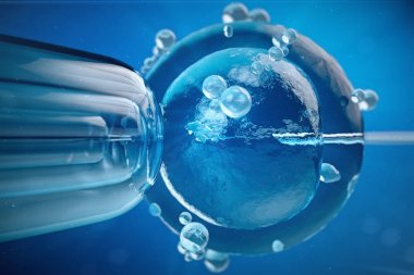 3D çizim suni tohumlama, Döllenme, Injecting sperm yumurta hücresine. Yardımlı üreme tedavi.