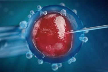 3D Illustration In vitro fertilisation , Injecting sperm into egg cell , Assisted reproductive treatment. clipart
