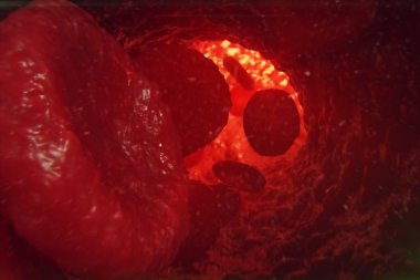 Kırmızı kan hücrelerinin damar veya arter, akış içinde yaşayan bir organizma içinde 3d çizim