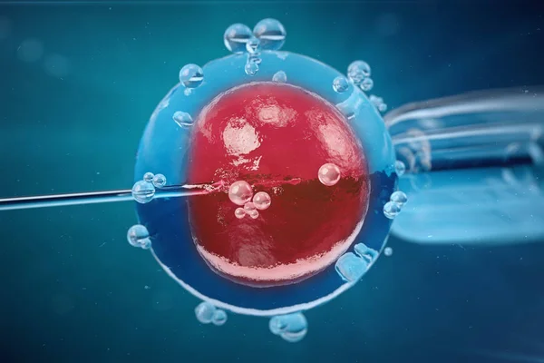 3D obrázek v oplodnění in vitro, Samoaplikace sperma do vaječné buňky, asistované reprodukční léčba. — Stock fotografie