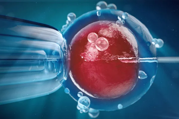 3D obrázek v oplodnění in vitro, Samoaplikace sperma do vaječné buňky, asistované reprodukční léčba. — Stock fotografie