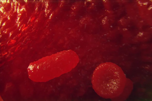 Glóbulos rojos en vena o arteria, flujo dentro de un organismo vivo, ilustración 3d — Foto de Stock