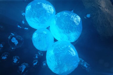 3D resimde erken sahne embriyo, kök hücre araştırmaları, Morula. İnsan ya da hayvan hücreleri. Tıp bilimsel kavram.