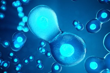 Human or animal cells on blue background. Concept Early stage embryo Medicine scientific concept, Stem cell research and treatment. 3D illustration. clipart