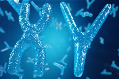3D çizim Xy kromozomu Biyoloji insan sağlık sembol gen terapisi veya Mikrobiyoloji genetik araştırma için bir kavram olarak