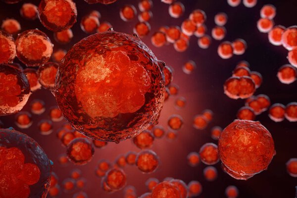 Эмбрион ранней стадии. Морула является эмбрионом ранней стадии, состоящим из клеток. Исследования и лечение стволовых клеток
