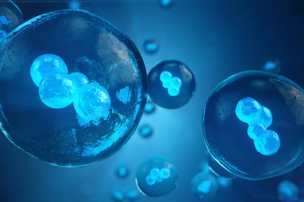 Illustrazione 3D Embrione in fase iniziale, ricerca sulle cellule staminali, Morula. Cellule umane o animali. Medicina concetto scientifico . — Foto Stock