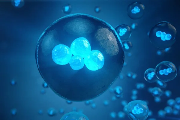 3 d イラスト初期段階胚幹細胞の研究、桑実胚。人間や動物の細胞。医学の科学的概念. — ストック写真