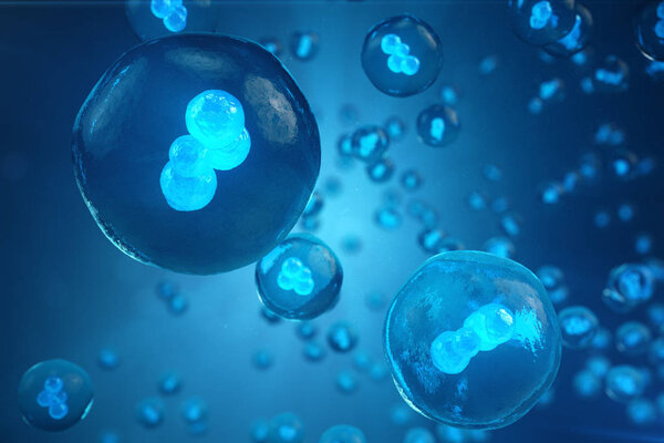 Клетки человека или животных на синем фоне. Концепция ранней стадии эмбриона Медицина научная концепция, исследования стволовых клеток и лечение. 3D иллюстрация
.