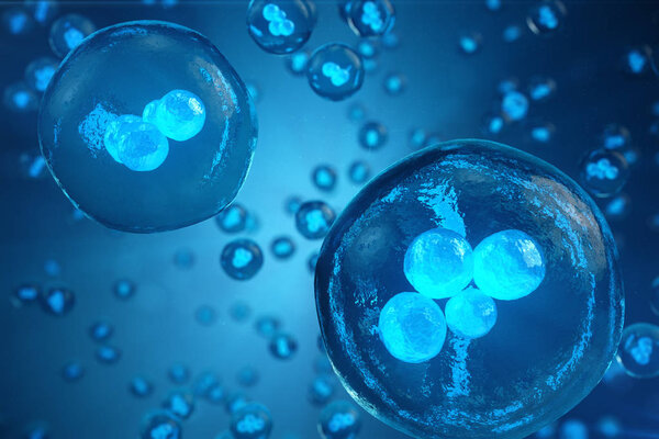 Human or animal cells on blue background. Concept Early stage embryo Medicine scientific concept, Stem cell research and treatment. 3D illustration.