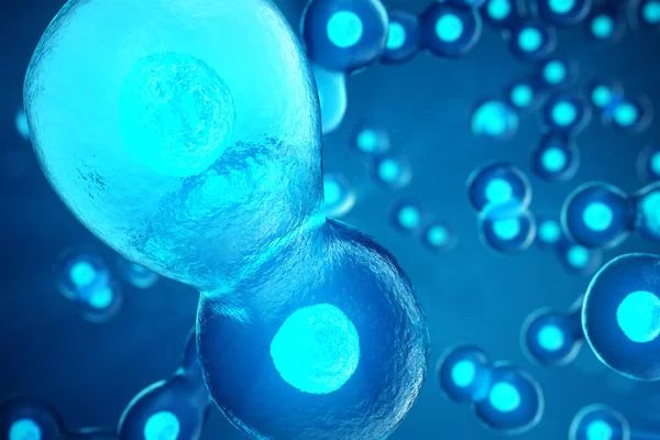 Ilustração 3D Embrião em estágio inicial. A mórula é um embrião em estágio inicial que consiste em células. Pesquisa e tratamento de células estaminais . — Fotografia de Stock