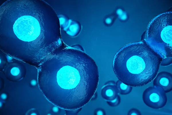 Menselijke of dierlijke cellen op blauwe achtergrond. Concept vroege fase embryo geneeskunde wetenschappelijke concept, stamcelonderzoek en behandeling. 3D illustratie. — Stockfoto