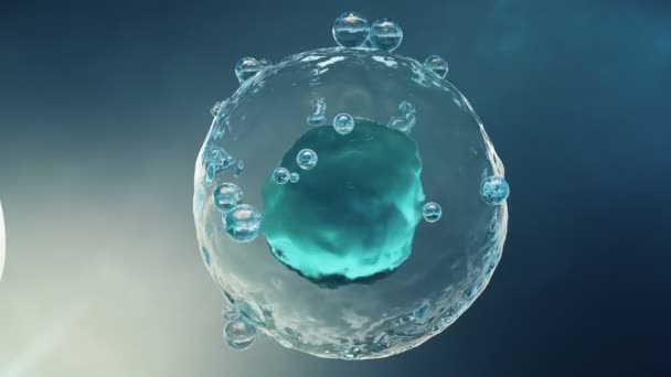 Kunstmatige inseminatie in een wetenschappelijke laboratorium onder een Microscoop vergrote weergave. Bevruchting van een eicel, ovum, zaadknop. De oorsprong van het concept van een nieuwe organisme, leven. 4 k 3d animatie — Stockvideo